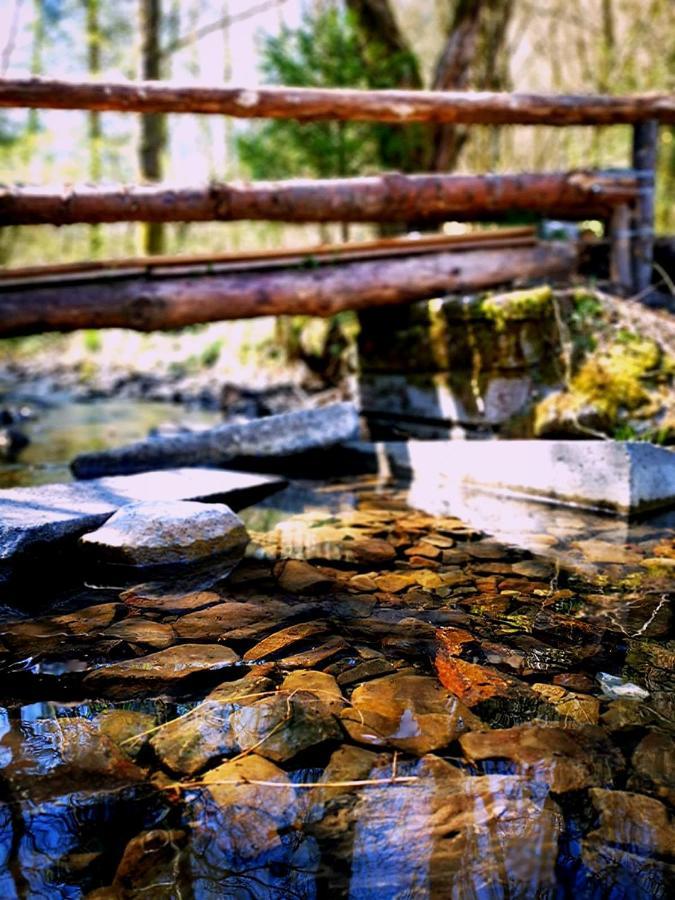 Auszeit Am See Winterberg Exteriér fotografie